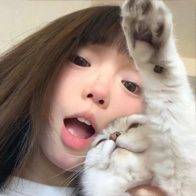 肥猫斗小强电影版